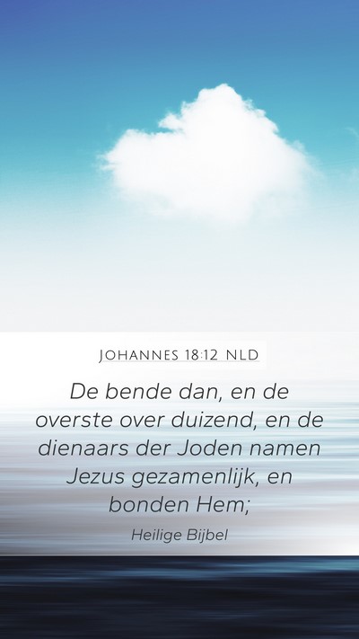 Johannes 18:12 NLD Bible Verse Image
