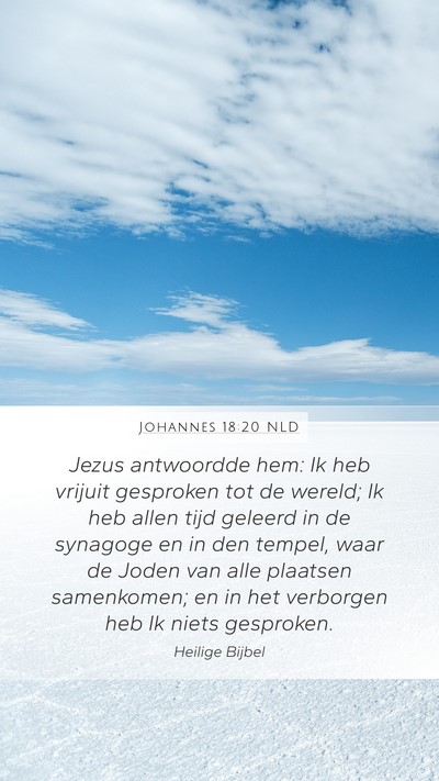 Johannes 18:20 NLD Bible Verse Image