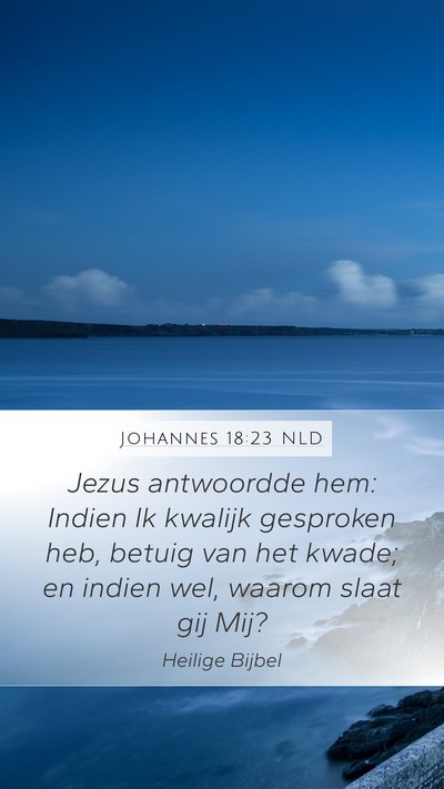Johannes 18:23 NLD Bible Verse Image