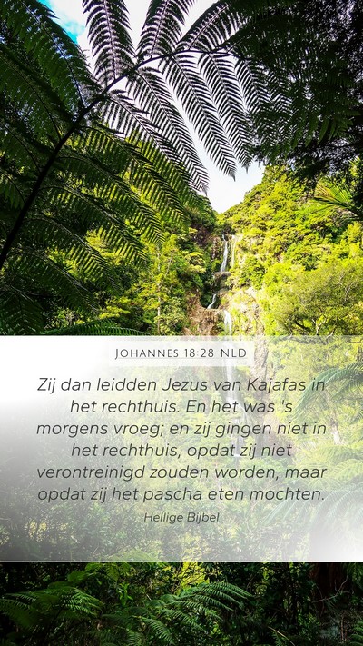 Johannes 18:28 NLD Bible Verse Image