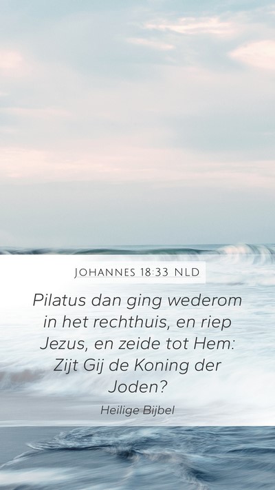Johannes 18:33 NLD Bible Verse Image
