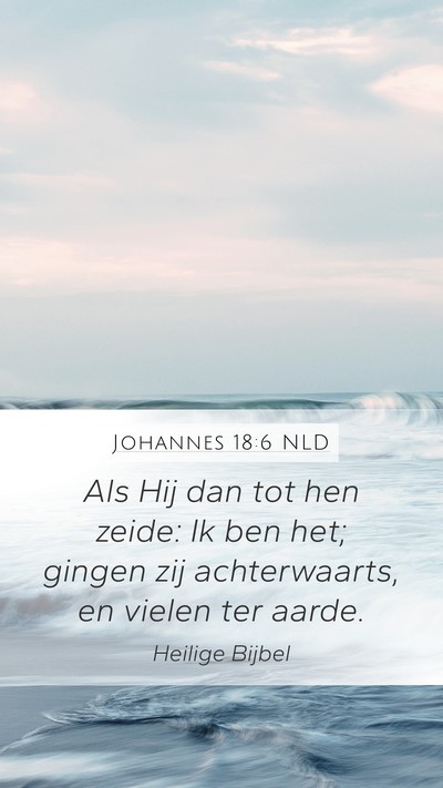 Johannes 18:6 NLD Bible Verse Image