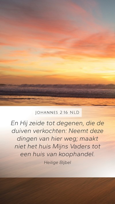 Johannes 2:16 NLD Bible Verse Image
