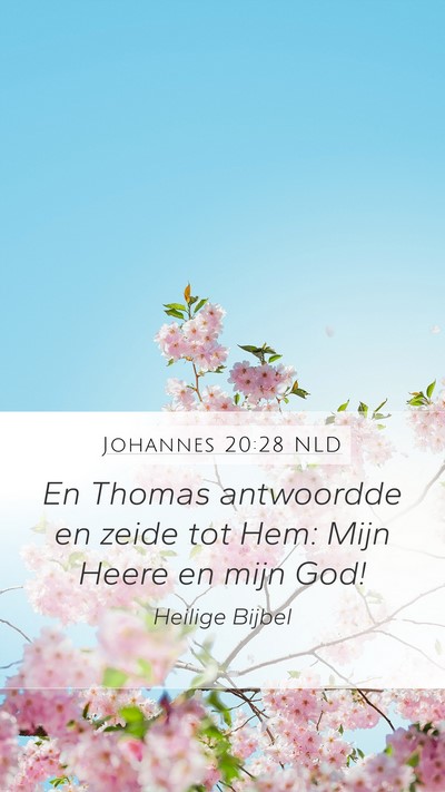 Johannes 20:28 NLD Bible Verse Image