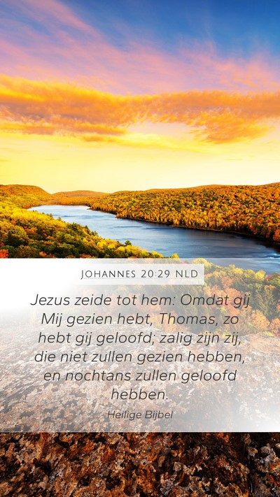 Johannes 20:29 NLD Bible Verse Image