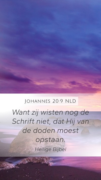 Johannes 20:9 NLD Bible Verse Image
