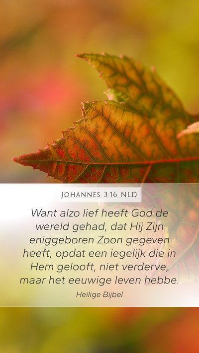 Johannes 3:16 NLD Bible Verse Image