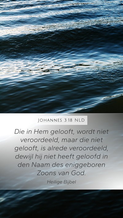 Johannes 3:18 NLD Bible Verse Image