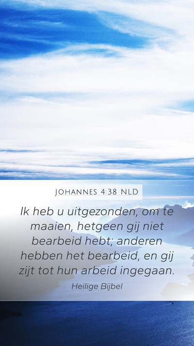 Johannes 4:38 NLD Bible Verse Image