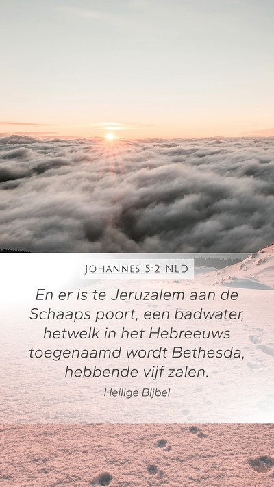 Johannes 5:2 NLD Bible Verse Image