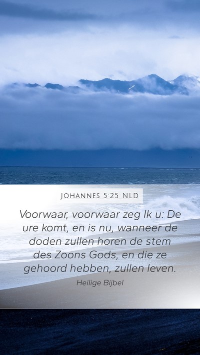 Johannes 5:25 NLD Bible Verse Image