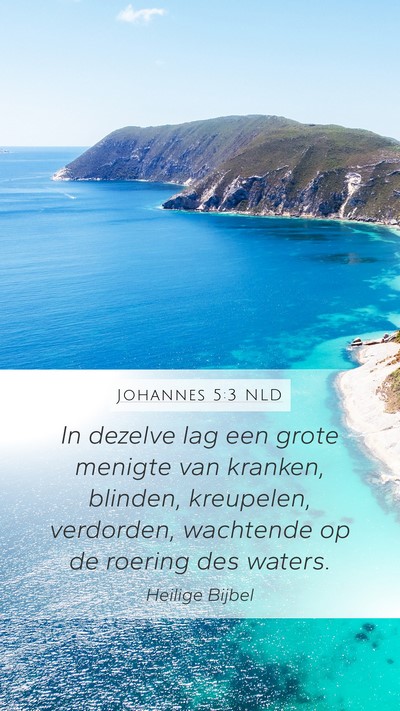 Johannes 5:3 NLD Bible Verse Image