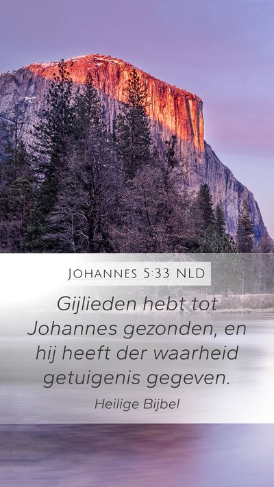 Johannes 5:33 NLD Bible Verse Image