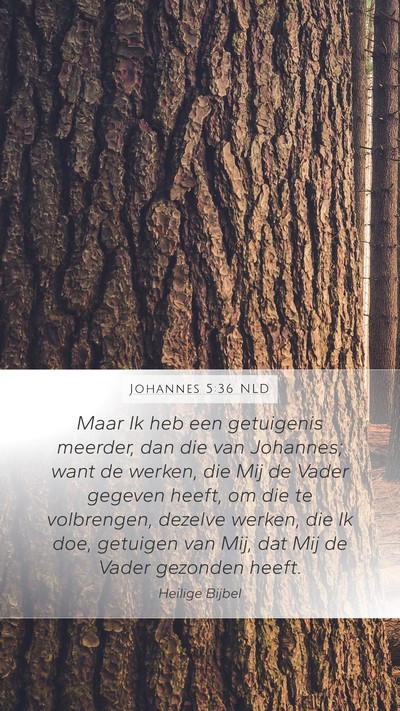 Johannes 5:36 NLD Bible Verse Image