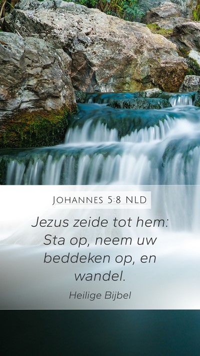 Johannes 5:8 NLD Bible Verse Image