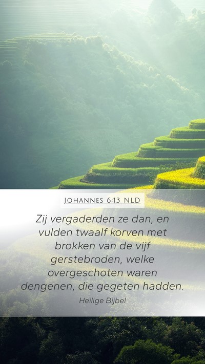 Johannes 6:13 NLD Bible Verse Image