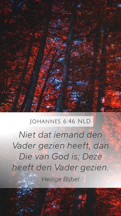 Johannes 6:46 NLD Bible Verse Image