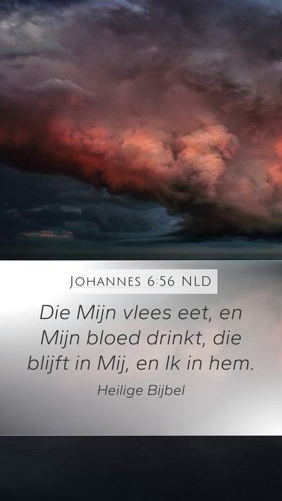 Johannes 6:56 NLD Bible Verse Image