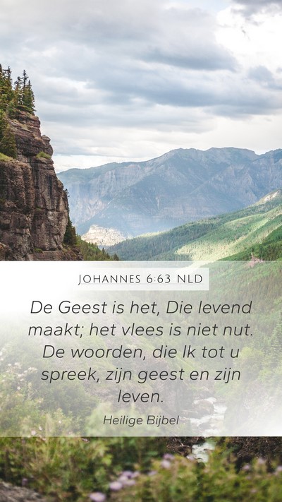 Johannes 6:63 NLD Bible Verse Image