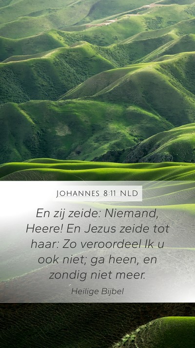 Johannes 8:11 NLD Bible Verse Image