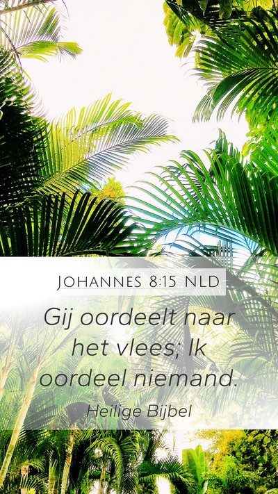Johannes 8:15 NLD Bible Verse Image