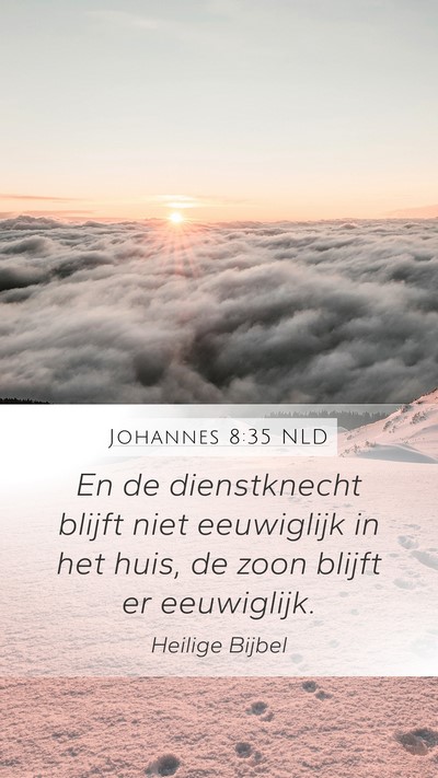 Johannes 8:35 NLD Bible Verse Image