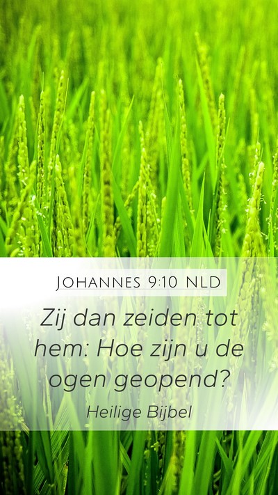 Johannes 9:10 NLD Mobile Phone Wallpaper - Zij dan zeiden tot hem: Hoe zijn u de ogen - Mobile Bible Verse Wallpaper