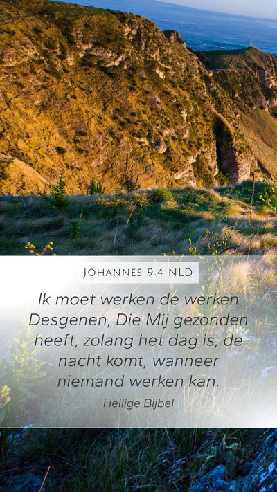 Johannes 9:4 NLD Bible Verse Image