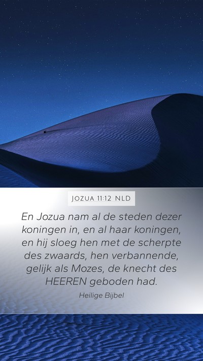 Jozua 11:12 NLD Mobile Phone Wallpaper - En Jozua nam al de steden dezer koningen in, en - Mobile Bible Verse Wallpaper