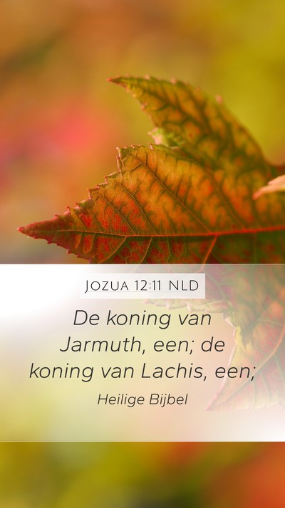 Jozua 12:11 NLD Mobile Phone Wallpaper - De koning van Jarmuth, een; de koning van Lachis, - Mobile Bible Verse Wallpaper