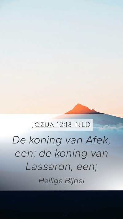 Jozua 12:18 NLD Mobile Phone Wallpaper - De koning van Afek, een; de koning van Lassaron, - Mobile Bible Verse Wallpaper