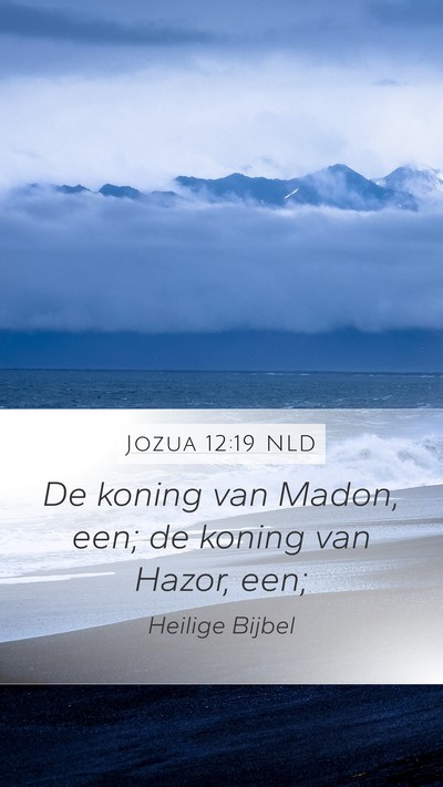 Jozua 12:19 NLD Bible Verse Image