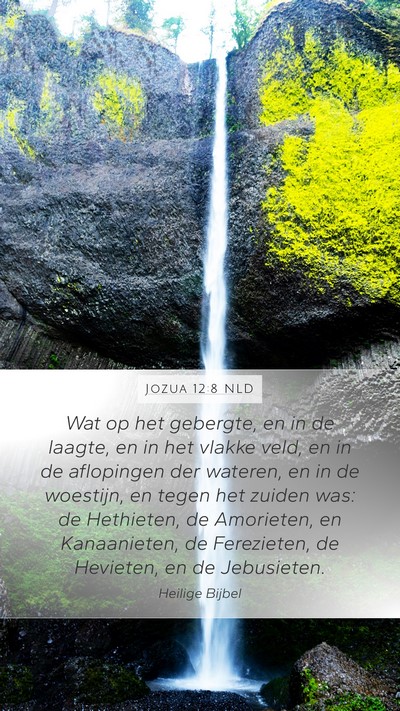 Jozua 12:8 NLD Bible Verse Image