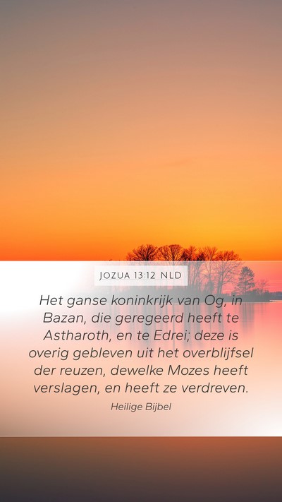 Jozua 13:12 NLD Bible Verse Image