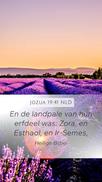 Jozua 19:41 NLD Mobile Phone Wallpaper - En de landpale van hun erfdeel was: Zora, en - Mobile Bible Verse Wallpaper