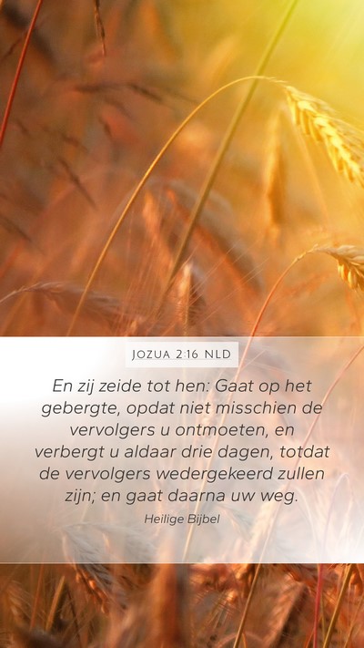 Jozua 2:16 NLD Mobile Phone Wallpaper - En zij zeide tot hen: Gaat op het gebergte, opdat - Mobile Bible Verse Wallpaper