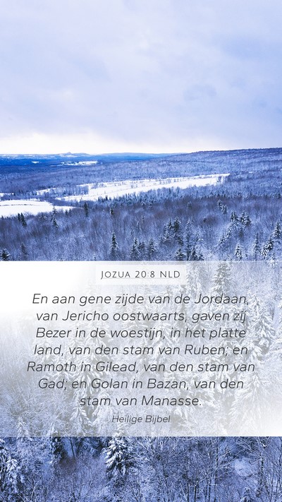 Jozua 20:8 NLD Bible Verse Image