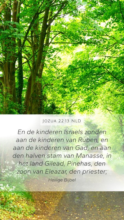 Jozua 22:13 NLD Bible Verse Image