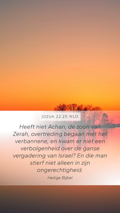 Jozua 22:20 NLD Bible Verse Image