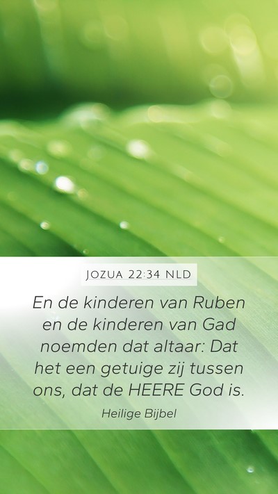 Jozua 22:34 NLD Bible Verse Image