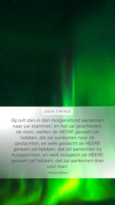 Jozua 7:14 NLD Bible Verse Image