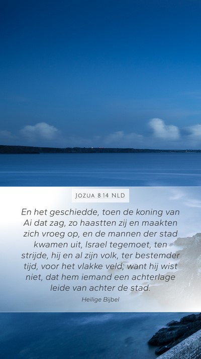 Jozua 8:14 NLD Bible Verse Image