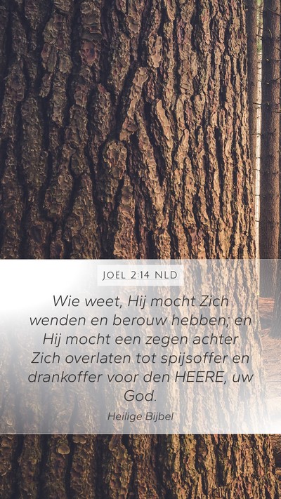 Joël 2:14 NLD Bible Verse Image