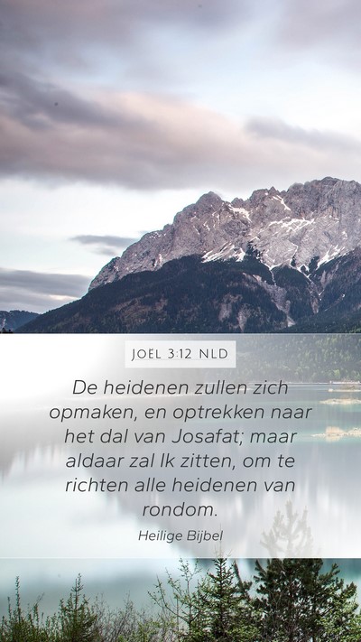 Joël 3:12 NLD Bible Verse Image