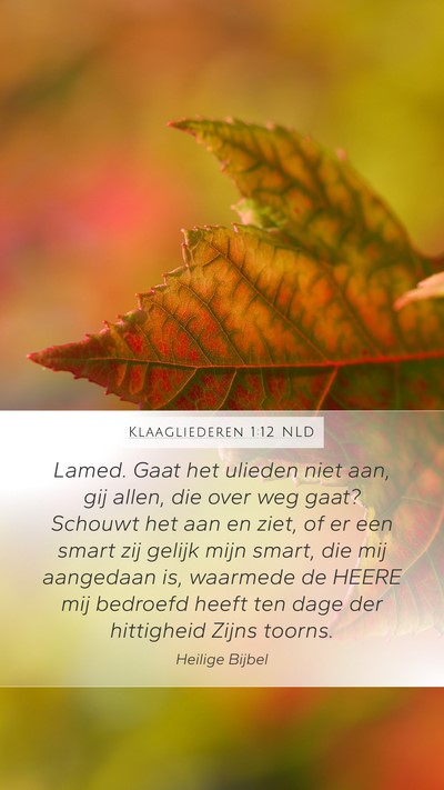 Klaagliederen 1:12 NLD Bible Verse Image