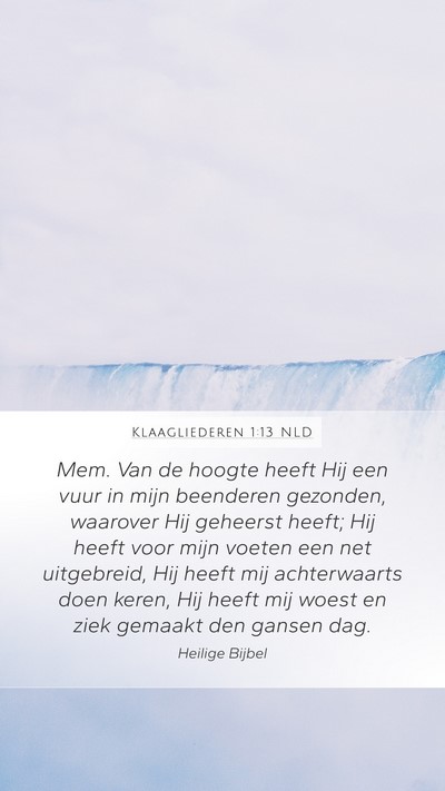 Klaagliederen 1:13 NLD Bible Verse Image