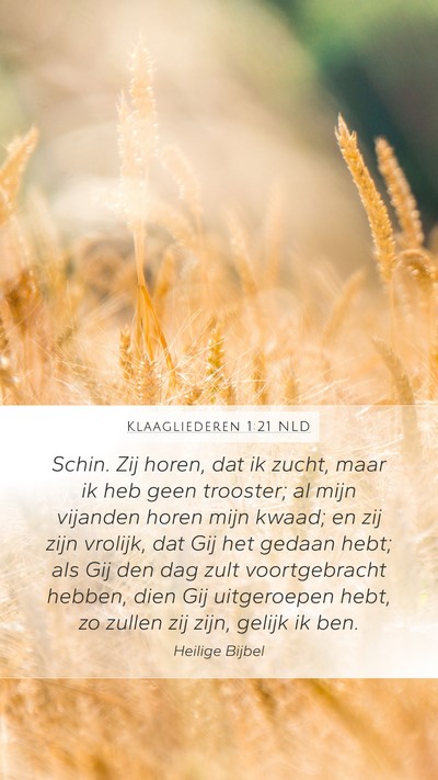 Klaagliederen 1:21 NLD Bible Verse Image