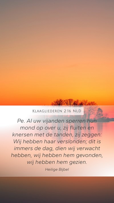Klaagliederen 2:16 NLD Bible Verse Image