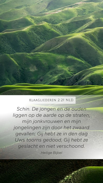 Klaagliederen 2:21 NLD Bible Verse Image