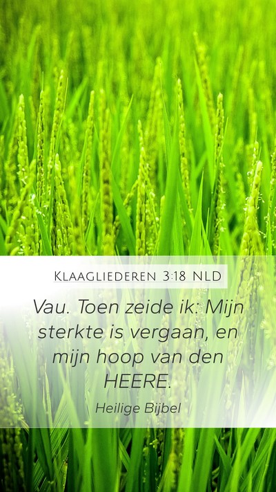 Klaagliederen 3:18 NLD Mobile Phone Wallpaper - Vau. Toen zeide ik: Mijn sterkte is vergaan, en - Mobile Bible Verse Wallpaper